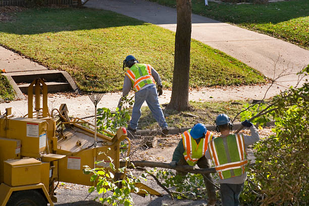 Best Lawn Irrigation Installation and Maintenance  in Logan, IA